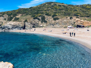 Il Giardino di Elettra Palmadula